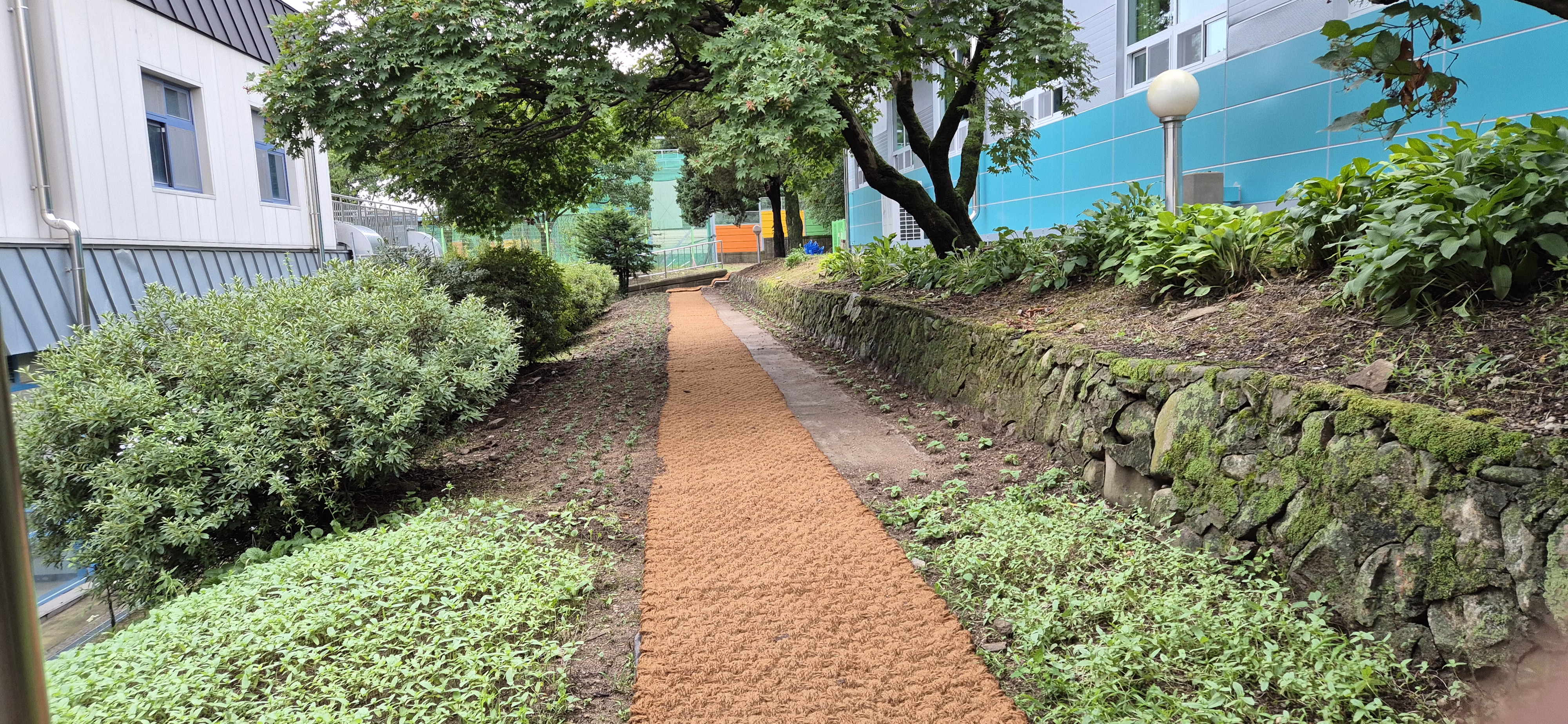 조종중·고, 동문회 기부로 학교 안 산책로와 꽃밭 조성4 이미지