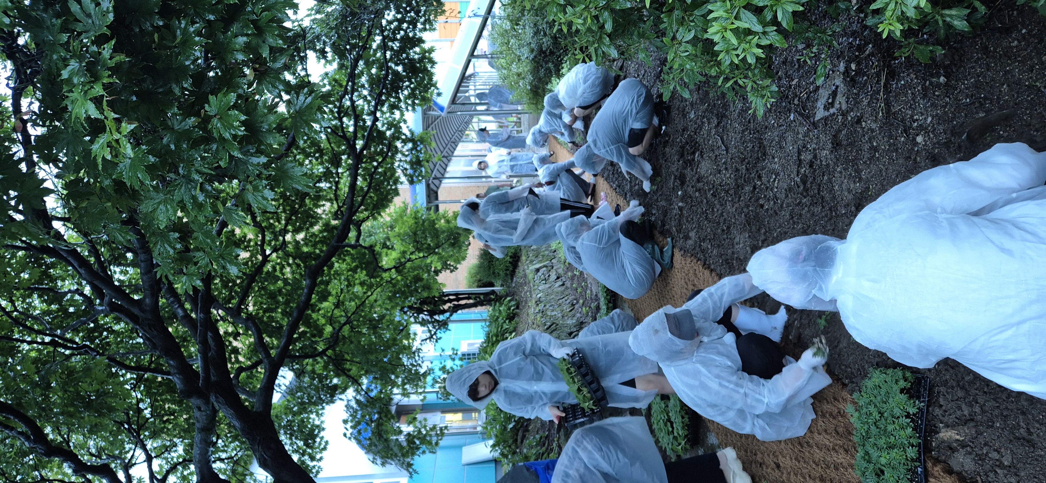 조종중·고, 동문회 기부로 학교 안 산책로와 꽃밭 조성2 이미지
