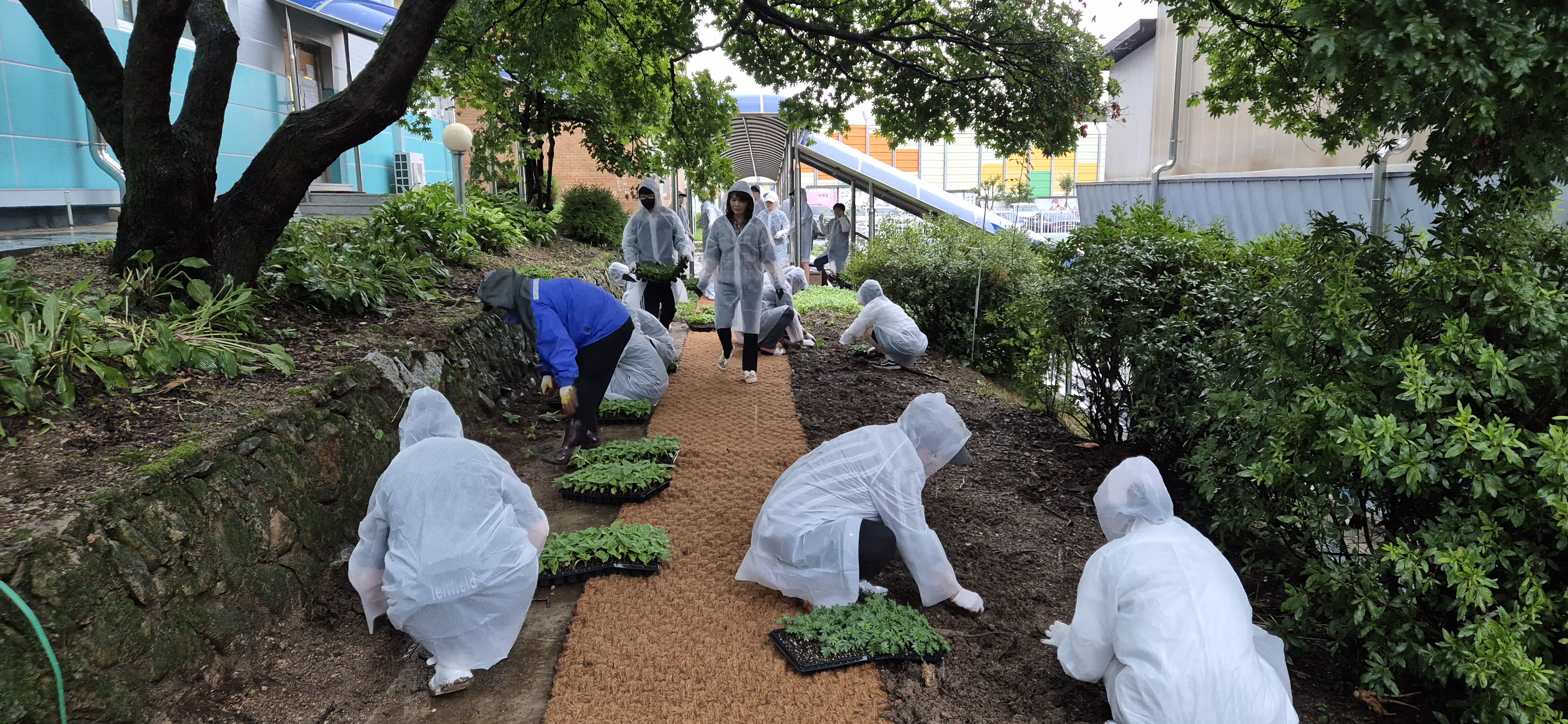 조종중·고, 동문회 기부로 학교 안 산책로와 꽃밭 조성3 이미지