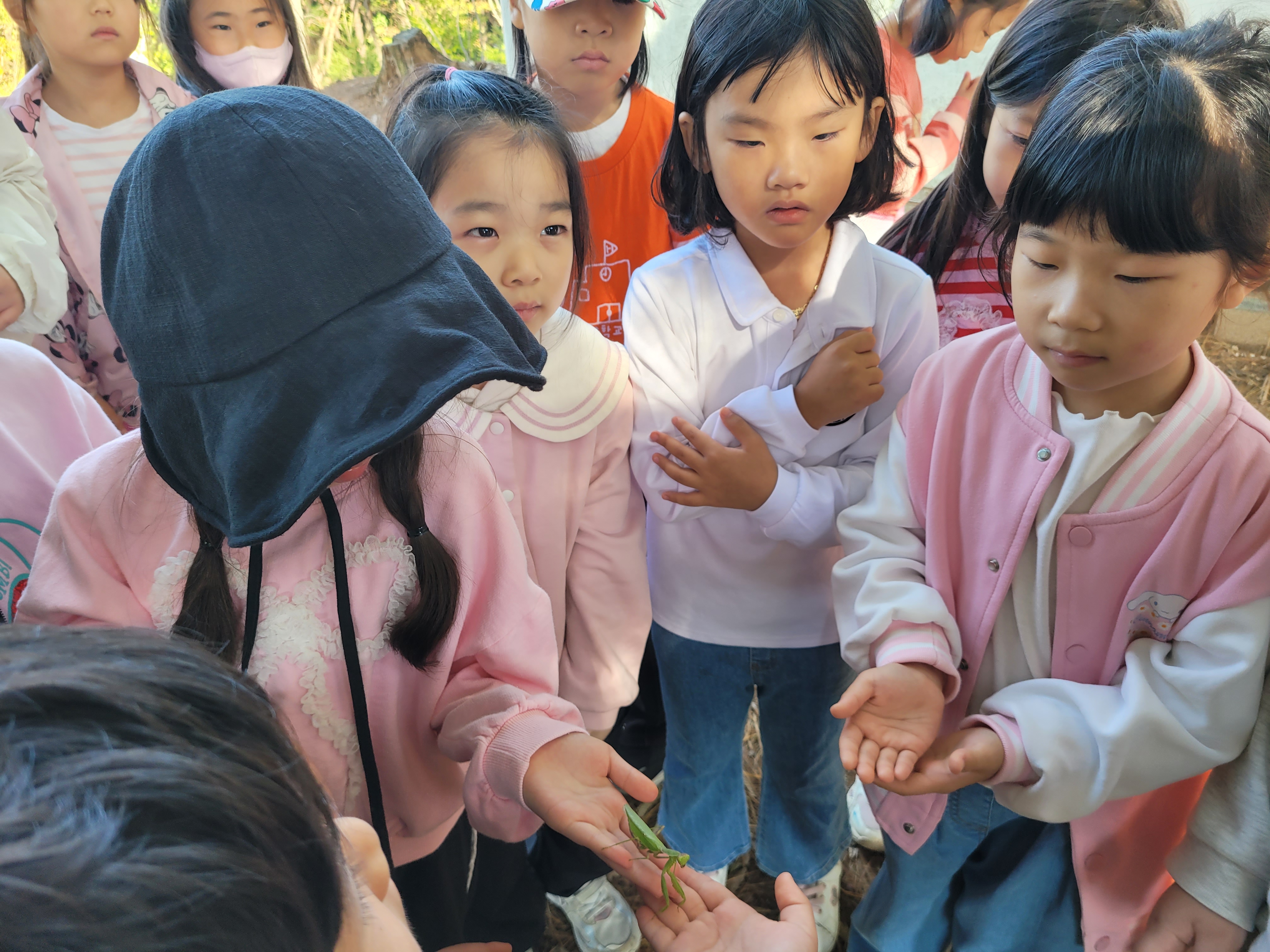 양주 신지초등학교 1학년, 우리들 자연학교에서  숲의 소중함을 배웠어요3 이미지