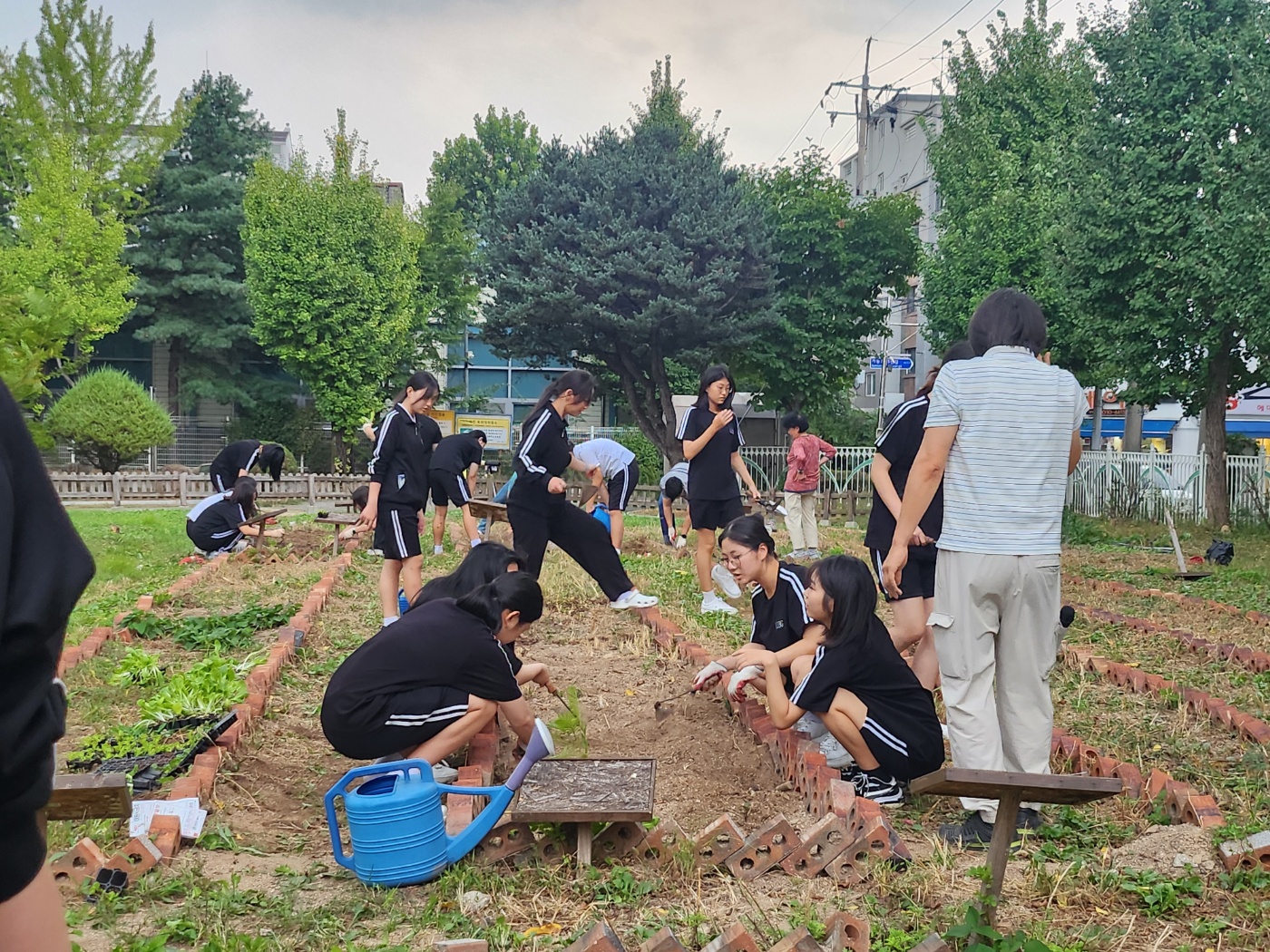 의정부여자중학교, 저소득 가구를 위한 김장김치 기탁 생태전환교육의 결실, 텃밭에서 시작된 나눔4 이미지
