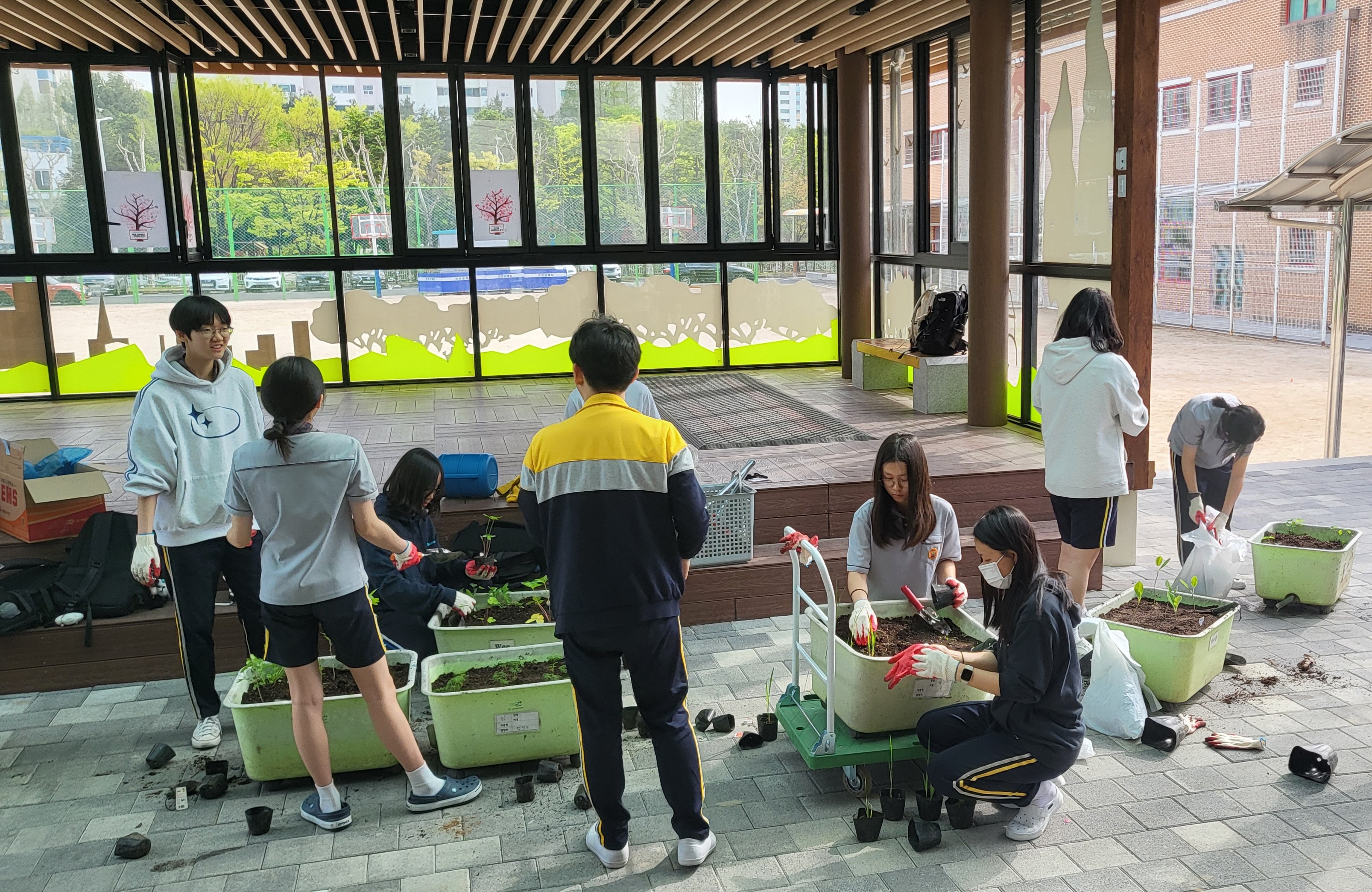 “서울대학교 약초가 우리 학교로?” 고양교육지원청, 관내 42개교에 심어지는‘특별한 씨앗’의 정체2 이미지