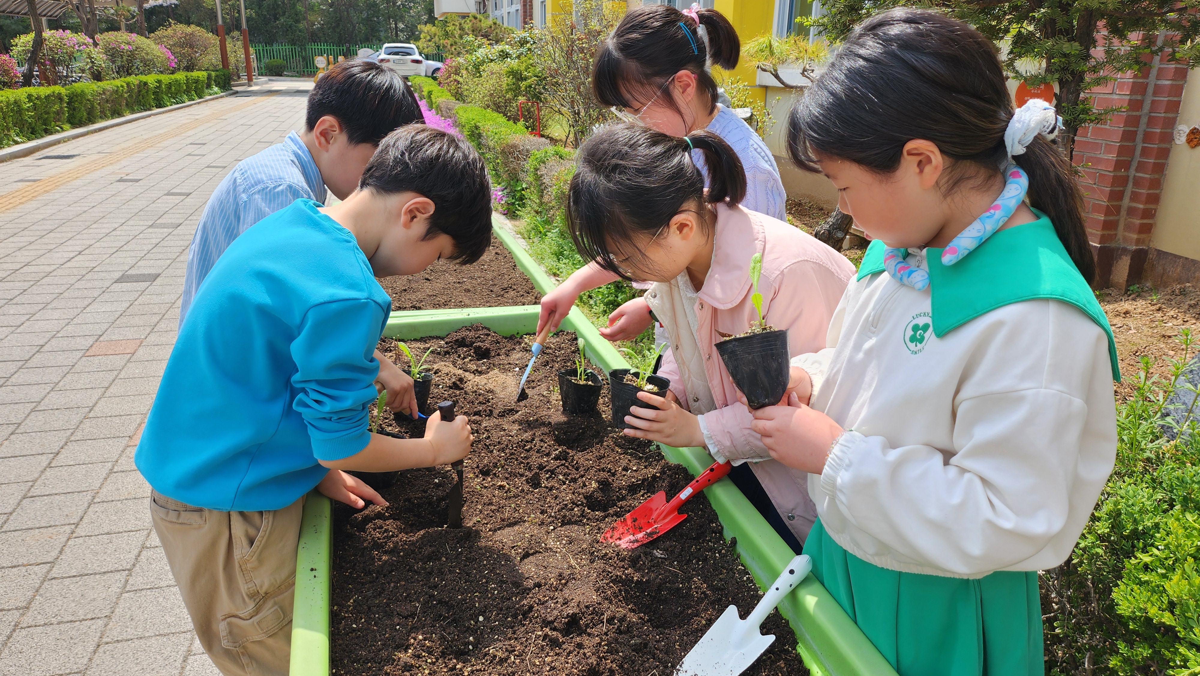 “서울대학교 약초가 우리 학교로?” 고양교육지원청, 관내 42개교에 심어지는‘특별한 씨앗’의 정체3 이미지