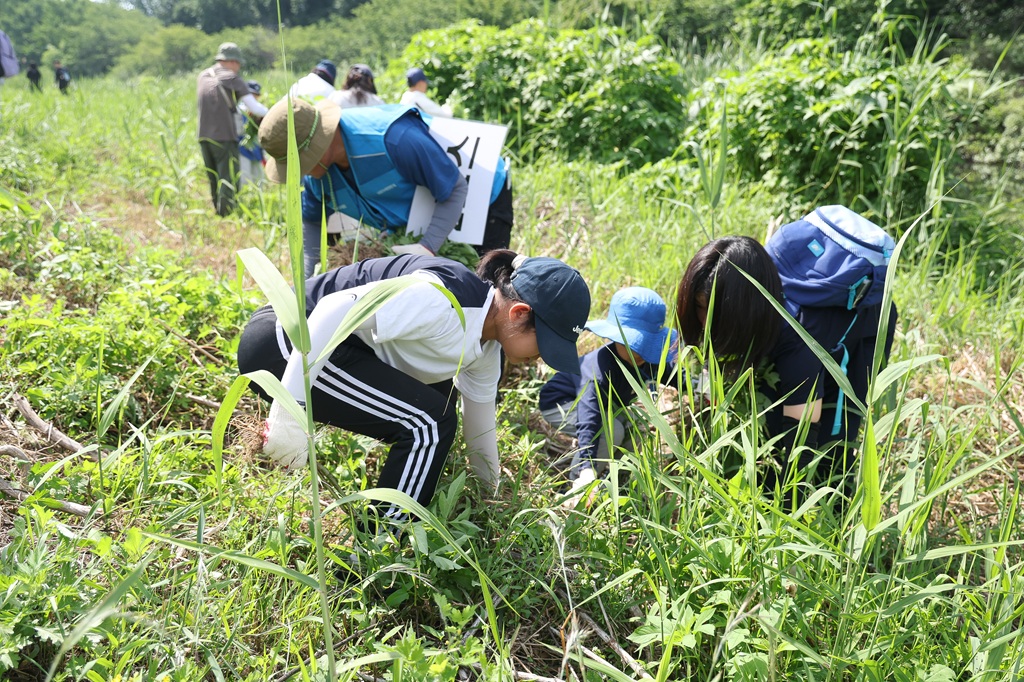 수원교육지원청, 학생·학부모·지역사회가 함께한 환경 실천의 장, ‘수원 에코패밀리 캠프’3 이미지