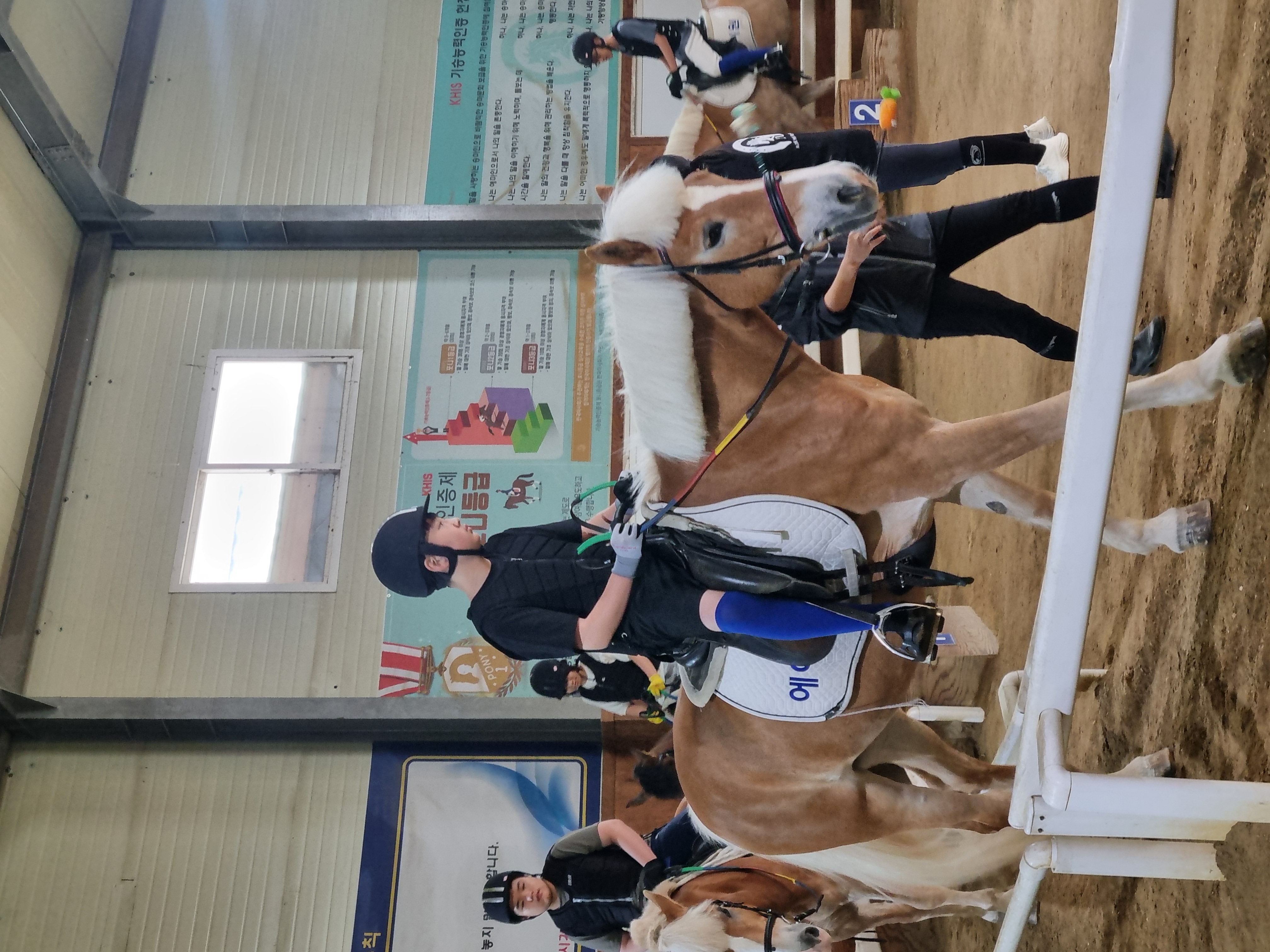 “말(馬)과 교감하며 배우는 특별한 체육수업, 몸과 마음이 함께 성장하다!”3 이미지