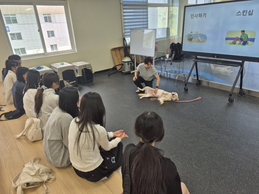 동두천양주교육지원청, 서정대학교 연계 학점인정형(이중학점) ‘반려동물과 휴먼케어’ 과목 운영2 이미지
