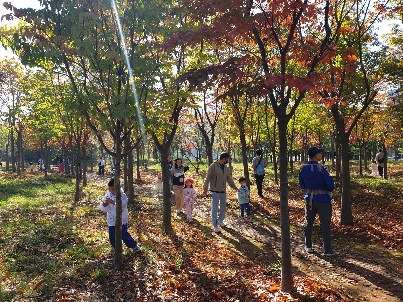 스마트폰 내려놓고 눈 맞추며 놀아요!! 경기도교육청, ‘폰 OFF, RAS ON’ 놀이캠프 개최2 이미지