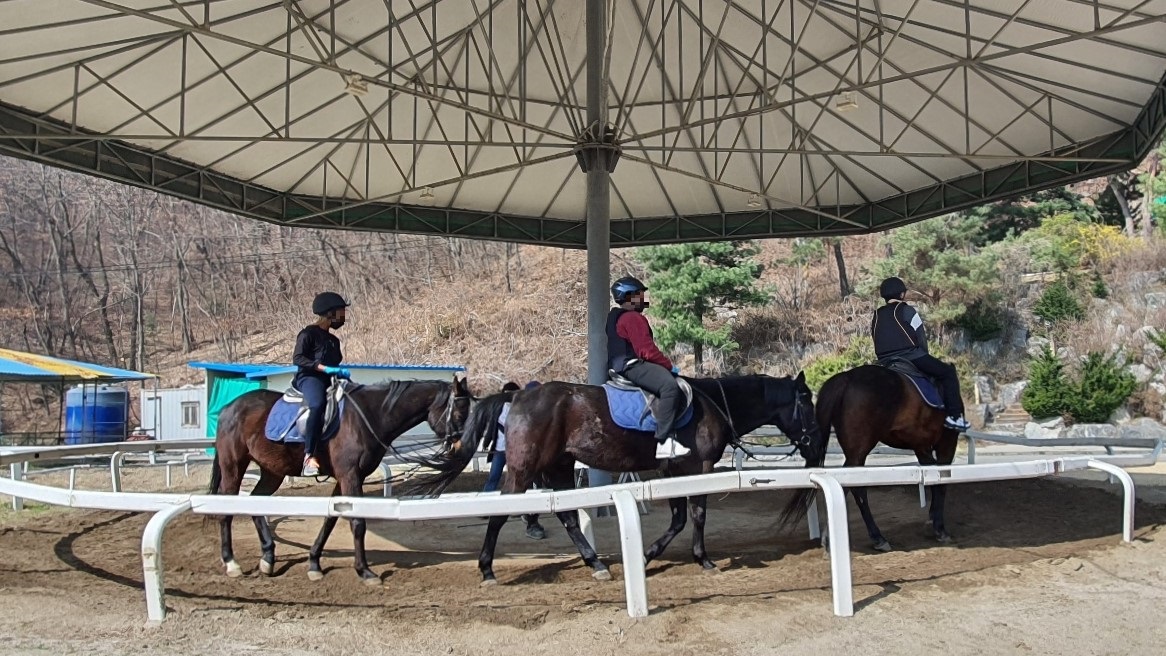 동두천양주교육지원청, 동두천혁신교육지구 승마체험 및 학년별 체험학습 실시1 이미지