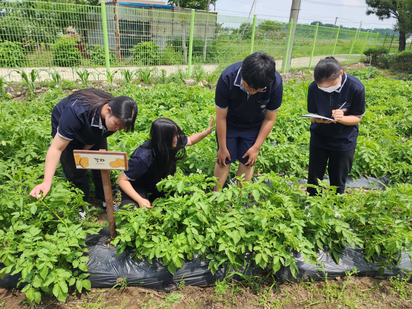 안성 서운중, 전교생과 함께 하는 다양한 생태전환교육 실시4 이미지
