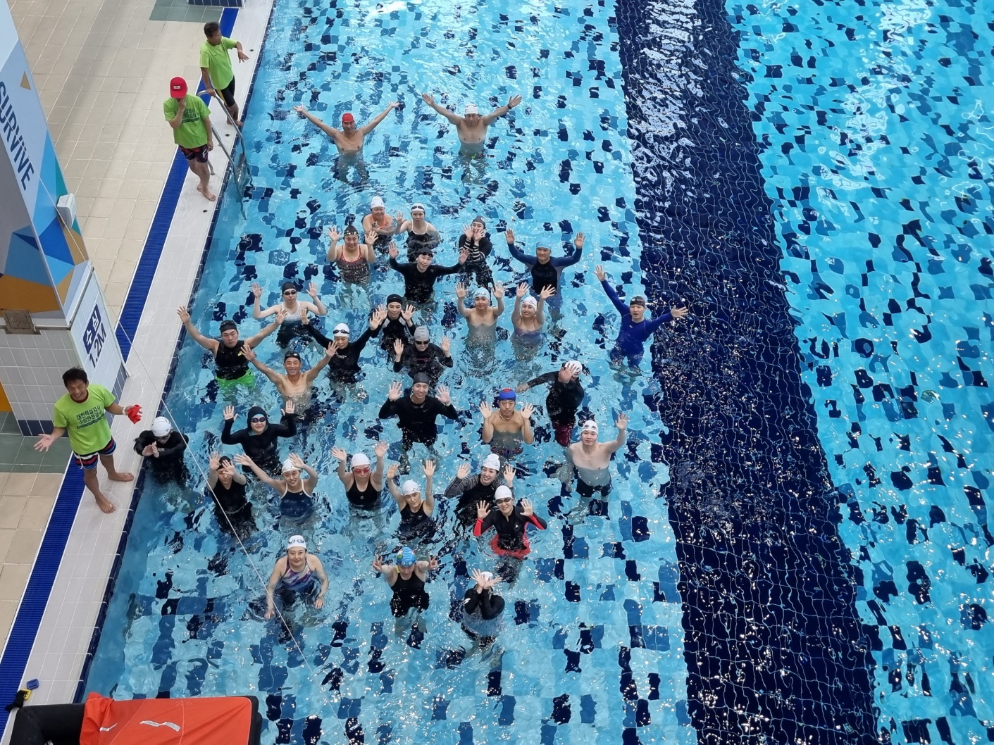 경기도교육청, 초등교원 생존수영 연수 운영4 이미지