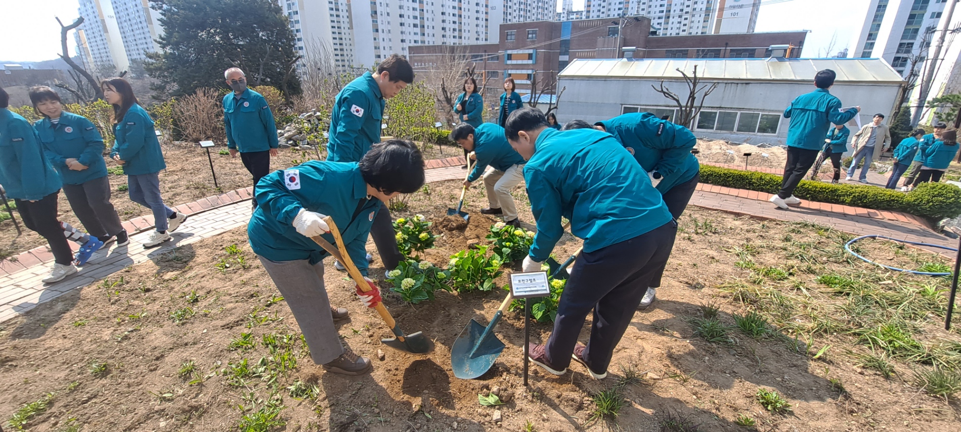 경기도교육청미래과학교육원,   전 직원이 함께하는 ‘청렴나무 심기’ 진행3 이미지